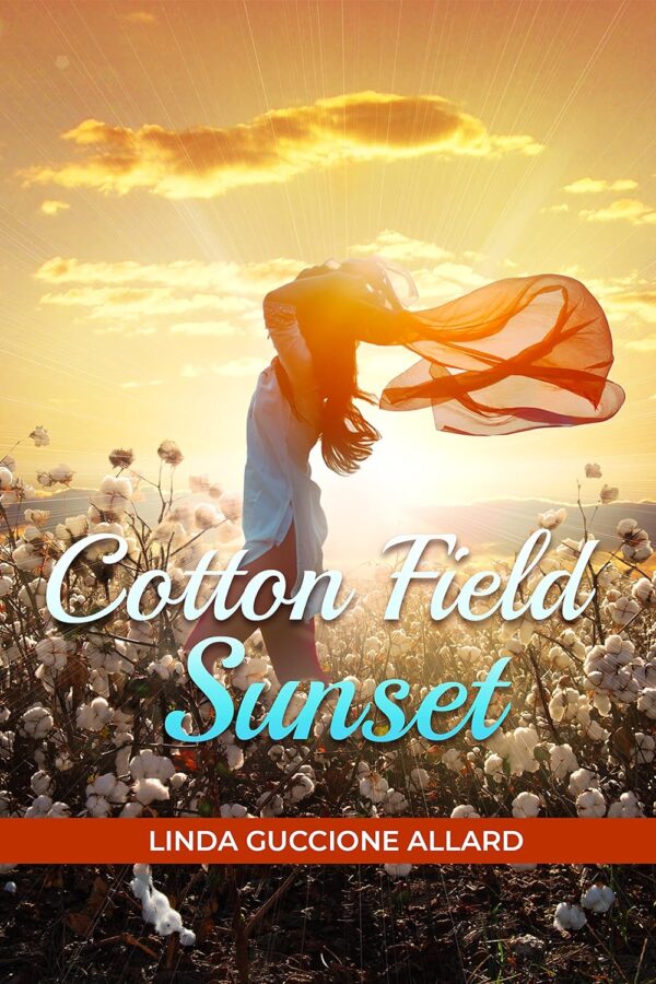 Cotton Field Sunset